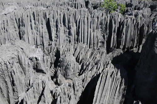 Excursion dans les grands Tsingy