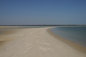 MAX_7382