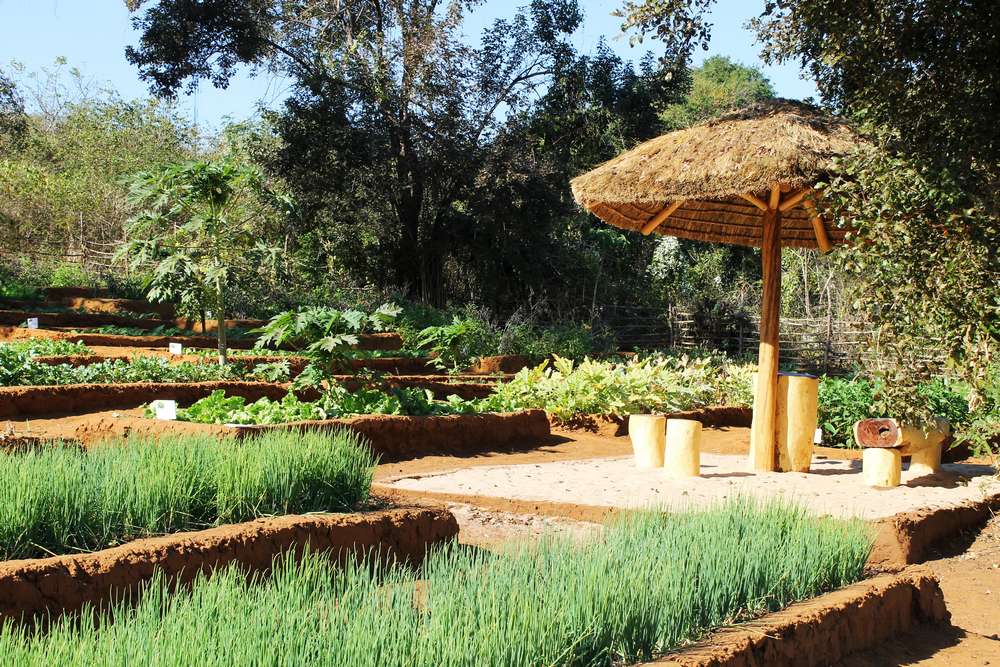 potager